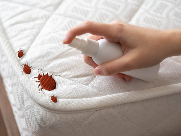 Best Indoor Pest Control  in Llington, MI